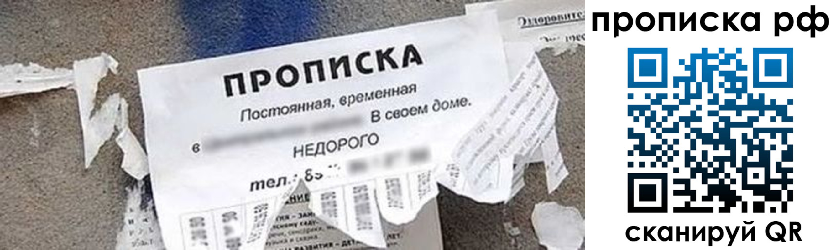 где прописаться в Фролово